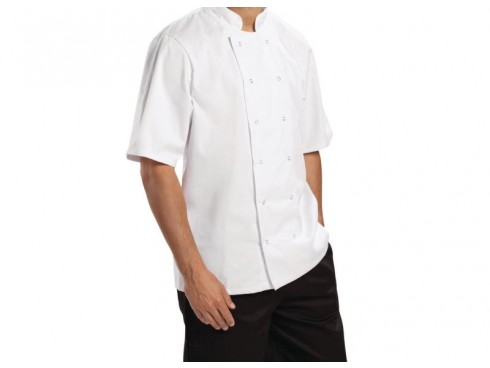 JACKET CHEF BOSTON SHORT WHITE LARGE