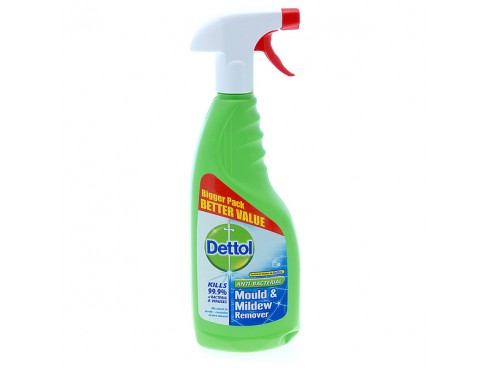 REMOVER MOULD AND MILDEW DETTOL