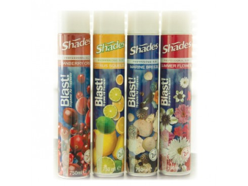 AIR FRESHENER BLAST SUMMER FLOWERS 750ML