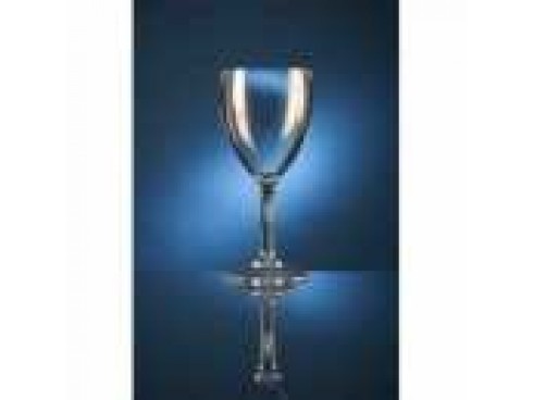 GLASS WINE POLYCARB ELITE 11OZ L@250ML