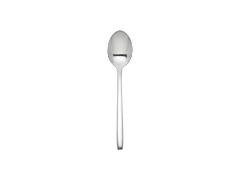 RADIUS TEASPOON 18/0