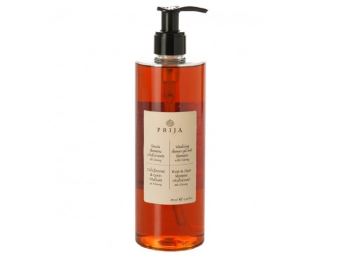 SHOWER GEL AND SHAMPOO PRIJA 380ML