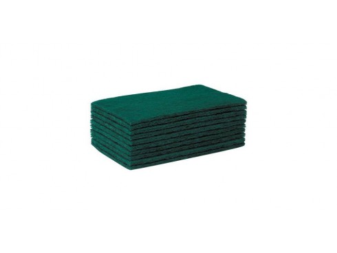 SCOURER GREEN 9X6"