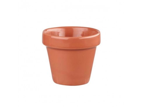 POT PLANT BIT ON THE SIDE PAPRIKA 4OZ