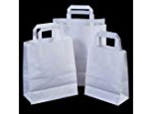 CARRIER TAKE AWAY WHITE MEDI 220X330X250MM