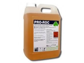 CLEANER OVEN PROFESSIONAL RAPID PRO-ROC