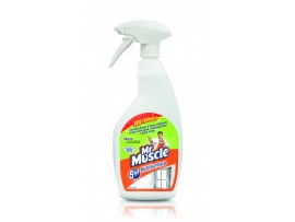 CLEANER MULTI SURFACE MR MUSCLE