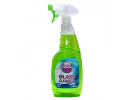 CLEANER GLASS AND WINDOW MAXIMA
