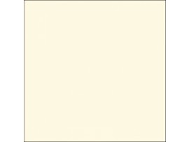 NAPKIN DUNISOFT BIO CREAM 48CM