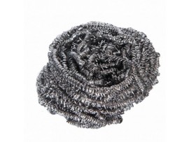 SCOURER STAINLESS STEEL 40G