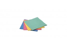 CLOTH MICROFIBRE VILEDA EVOLON RED