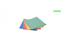 CLOTH MICROFIBRE VILEDA EVOLON GREEN