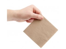 NAPKIN COCKTAIL KRAFT 2PLY 24CM