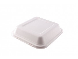 BOX LUNCH BAGASSE SQUARE 8"