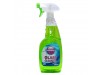 CLEANER GLASS AND WINDOW MAXIMA