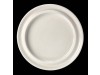 FREEDOM PLATE 10"