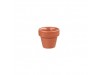 POT PLANT BIT ON THE SIDE PAPRIKA 2OZ