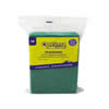 SCOURING PAD PROCLEAN GREEN 23X15CM